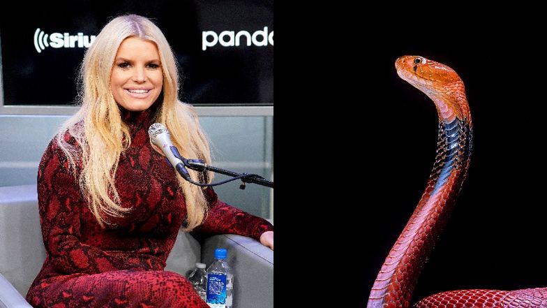Jessica Simpson pije miksturę na głos z nasieniem węża