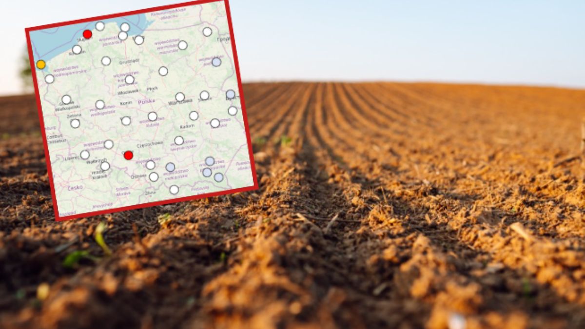 Choć lato wciąż jeszcze przed nami, susza już daje się we znaki