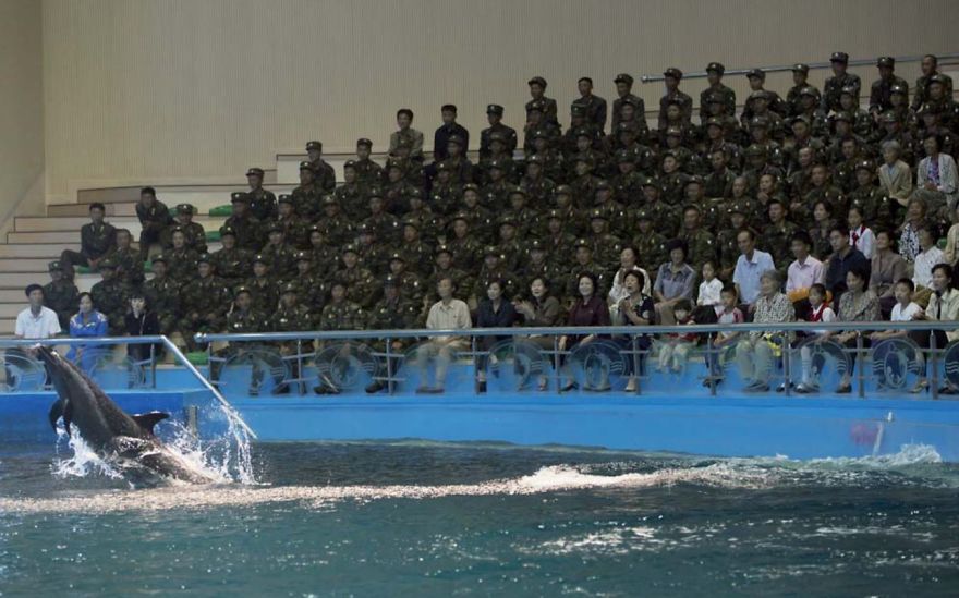 Będąc w delfinarium w Pjongjang można fotografować zwierzęta, ale nie żołnierzy, którzy stanowią 99 proc. tłumu.