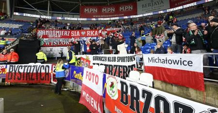 Polscy kibice dopisali w Cardiff. Jeden szczegół bił po oczach