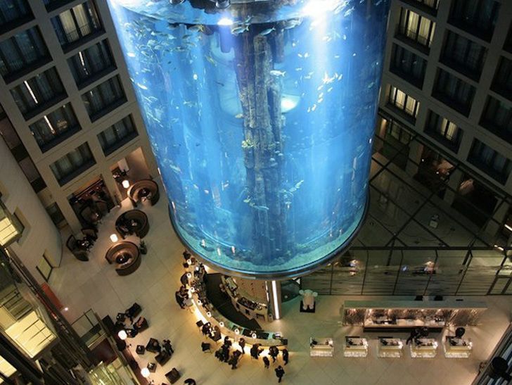 Gigantyczne akwarium wewnątrz hotelu. Aby je obejrzeć, potrzebna jest winda! 2