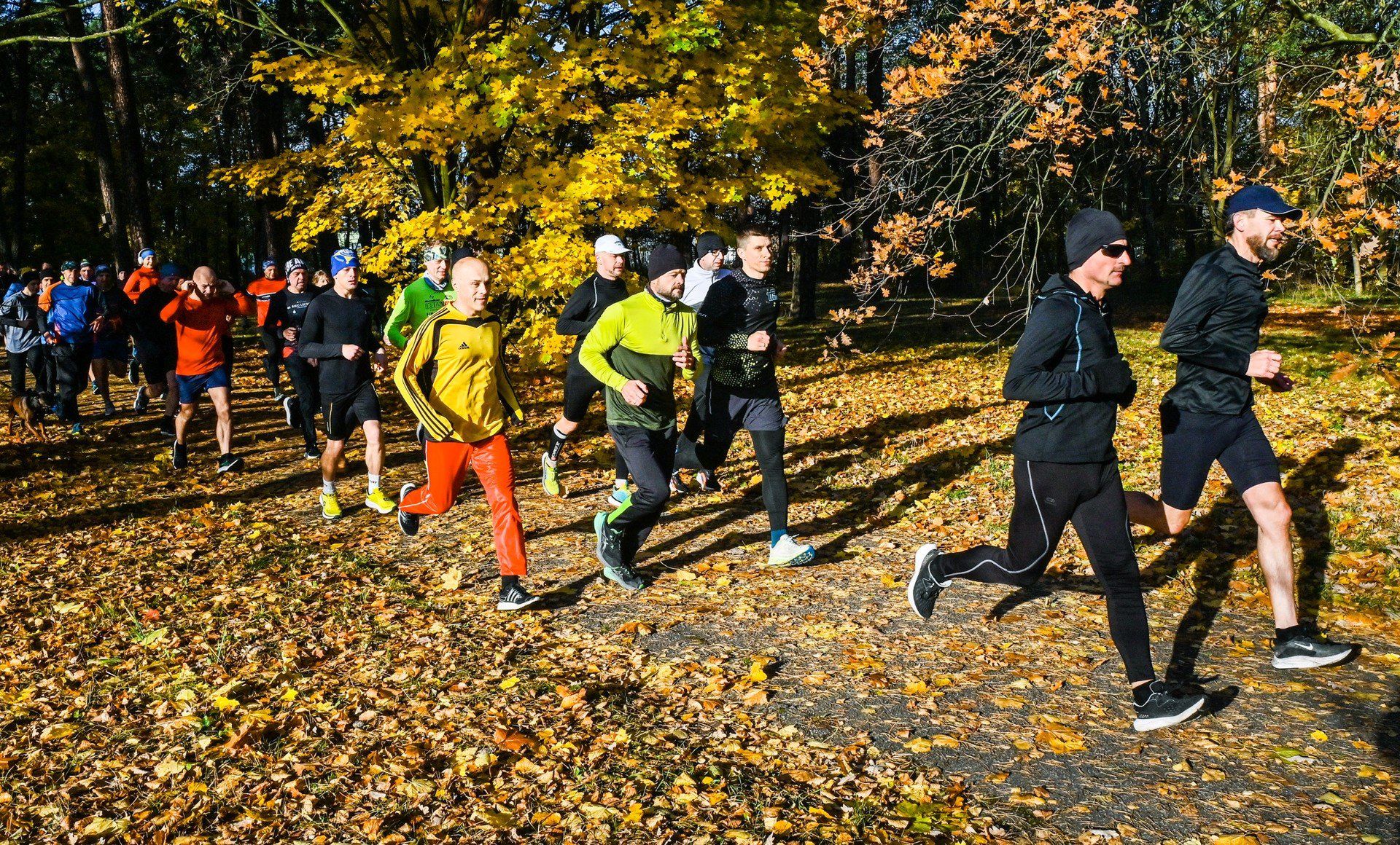 Parkrun Bydgoszcz 1.11.2025