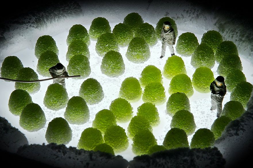 W świecie jedzenia. Wielkie przygody mini-bohaterów 12