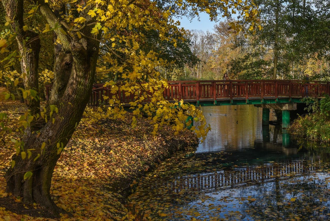 Poznań: Jesień w Wielkopolsce może być piękna. Gdzie się wybrać na wycieczkę? Oto ciekawe miejsca