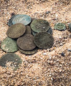 Krzyżacki skarb pod Toruniem. "Moglibyśmy zapełnić kilka muzeów"