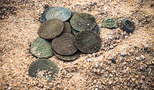 Krzyżacki skarb pod Toruniem. "Moglibyśmy zapełnić kilka muzeów"