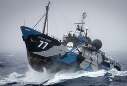 Sea Shepherd: ekologiczny zamordyzm. Koniec proszenia, czas na walkę