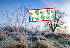 Sunie arktyczne powietrze. Zaczynają się przygruntowe przymrozki
