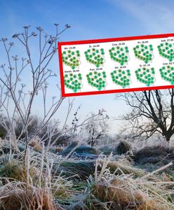 Sunie arktyczne powietrze. Zaczynają się przygruntowe przymrozki