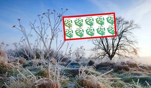 Sunie arktyczne powietrze. Zaczynają się przygruntowe przymrozki