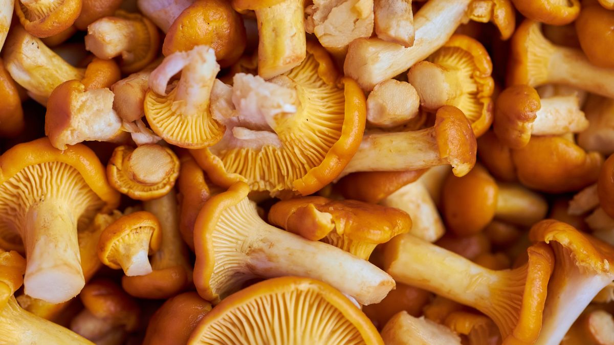 Jak mrozić surowe kurki