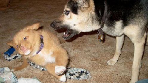 Najpopularniejsze wymówki n00bów 1