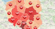 Koronawirus w Polsce. 217 nowych przypadków. Blisko 930 ofiar śmiertelnych [Aktualna mapa]