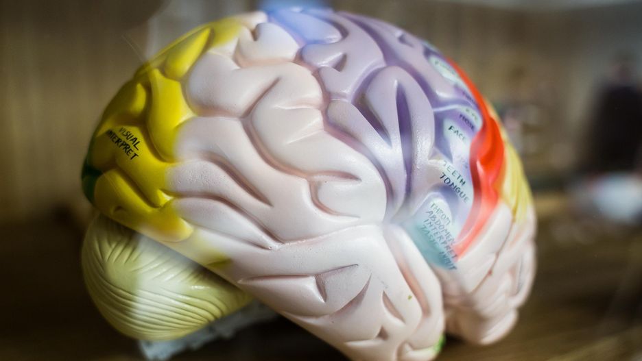 Mniej pieniędzy na badania i rozwój. GUS podał dane.