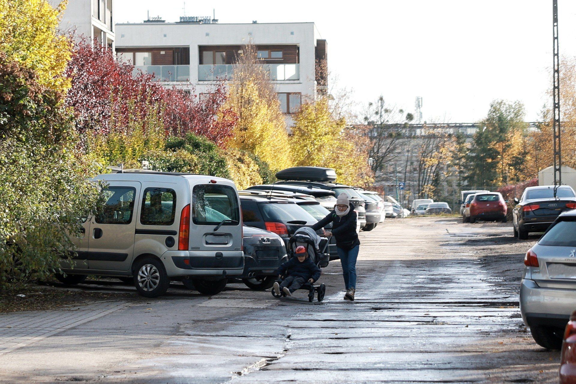 Ulica Budziszyńska w Poznaniu
