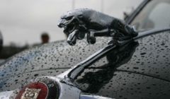 Jaguar Land Rover restrukturyzuje marketing, sprzedaż, usługi i PR
