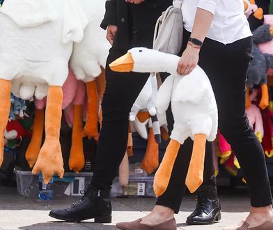 O co chodzi z gęsiami? To wakacyjny hit. Każdy chce ją mieć