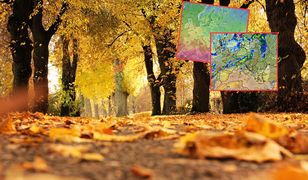 Nadchodzi babie lato? W te dni ma być słonecznie i ciepło