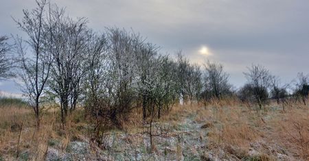 Nagłe ochłodzenie. Temperatury na minusie