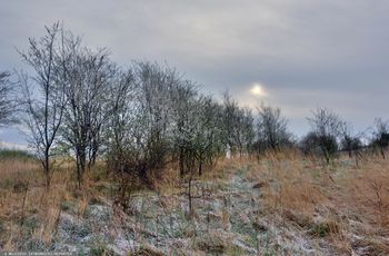 Nagłe ochłodzenie. Temperatury na minusie