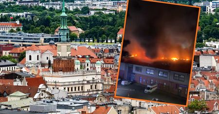 Ogromny pożar w Poznaniu. Ogień w galerii. Szukają... papug