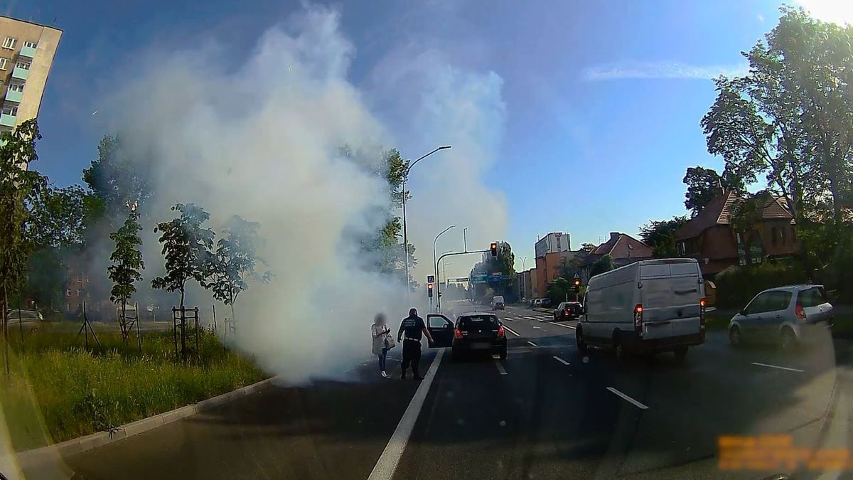 Rozbiegany diesel w Katowicach potrzebował inspektora transportu drogowego by go uspokoić