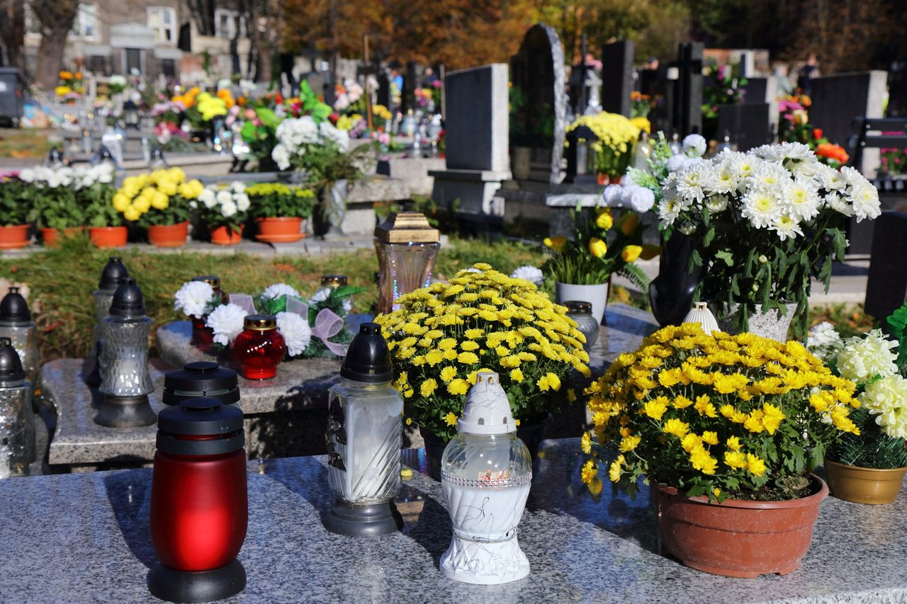 Wystarczy kilka kropli. Kwiaty na grobie postoją dłużej