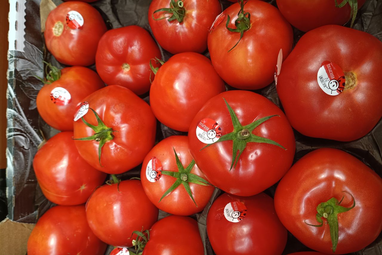 Przebadali pomidory malinowe z dyskontów. Oto tłumaczenie Biedronki