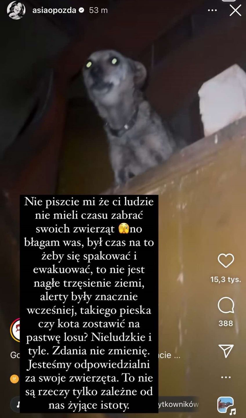 Joanna Opozda przejęła się losem zwierząt w zalanych miastach