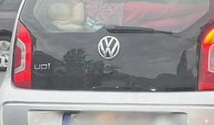 Przewoził córkę na półce bagażnika. Zajęła się nim policja