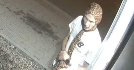 Tak włamał się do witryny chłodzącej. "Raz, dwa, trzy, Baba-Jaga patrzy"
