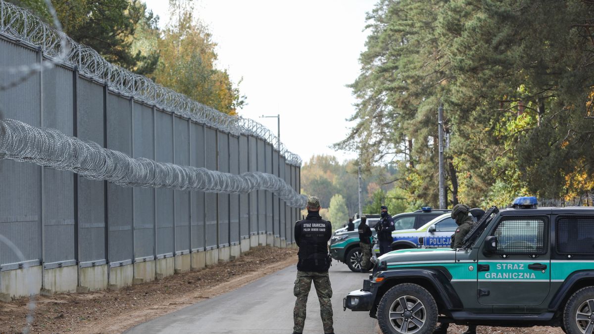 Funkcjonariusz SG przejechał psa; zdj. poglądowe