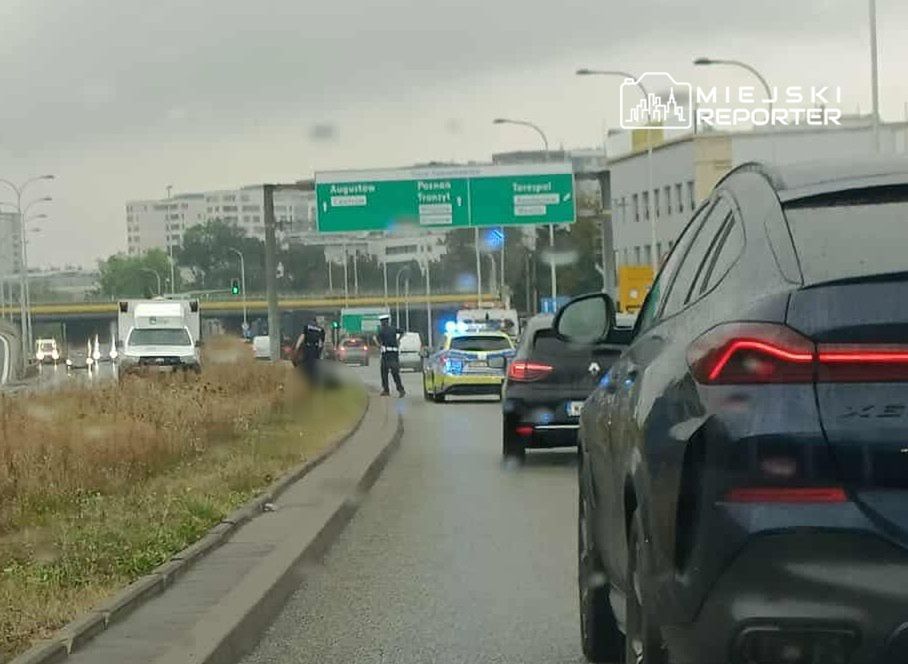 Policjanci prowadzą czynności na ruchliwej drodze, obok zaparkowanego radiowozu i samochodów osobowych.