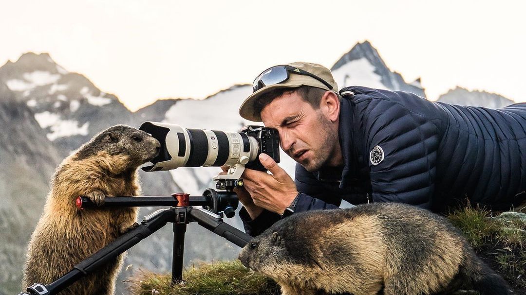 Fotograf odwiedził rodzinę świstaków. Tata świstak sam stanął za obiektywem 1