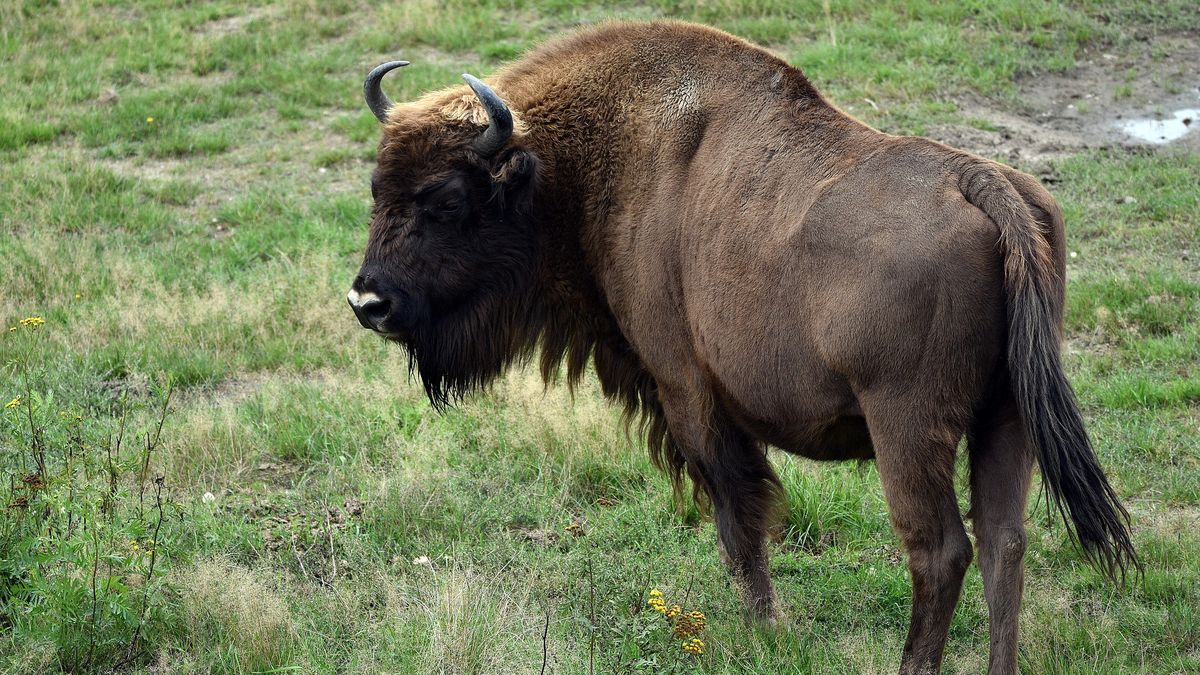 Zdjęcie ilustracyjne.