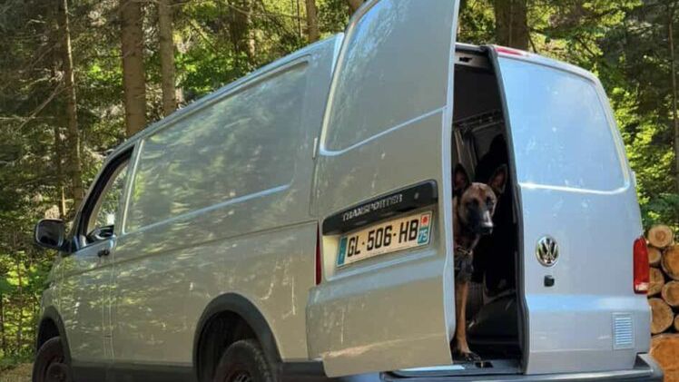 Volkswagen Transporter stoi na leśnej drodze, a w drzwiach tylnych pojazdu siedzi pies.