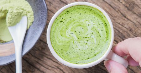 Matcha - charakterystyka składniki odżywcze, zastosowanie w kuchni, kofeina