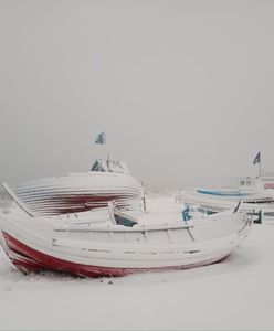 Atak zimy na Półwyspie Helskim. Mieszkańców zaskoczył nie tylko śnieg