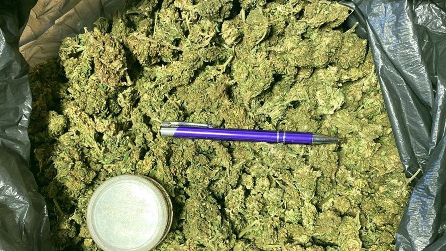 W mieszkaniu mężczyzny w Jaworznie policjanci znaleźli ponad pół kilograma marihuany.