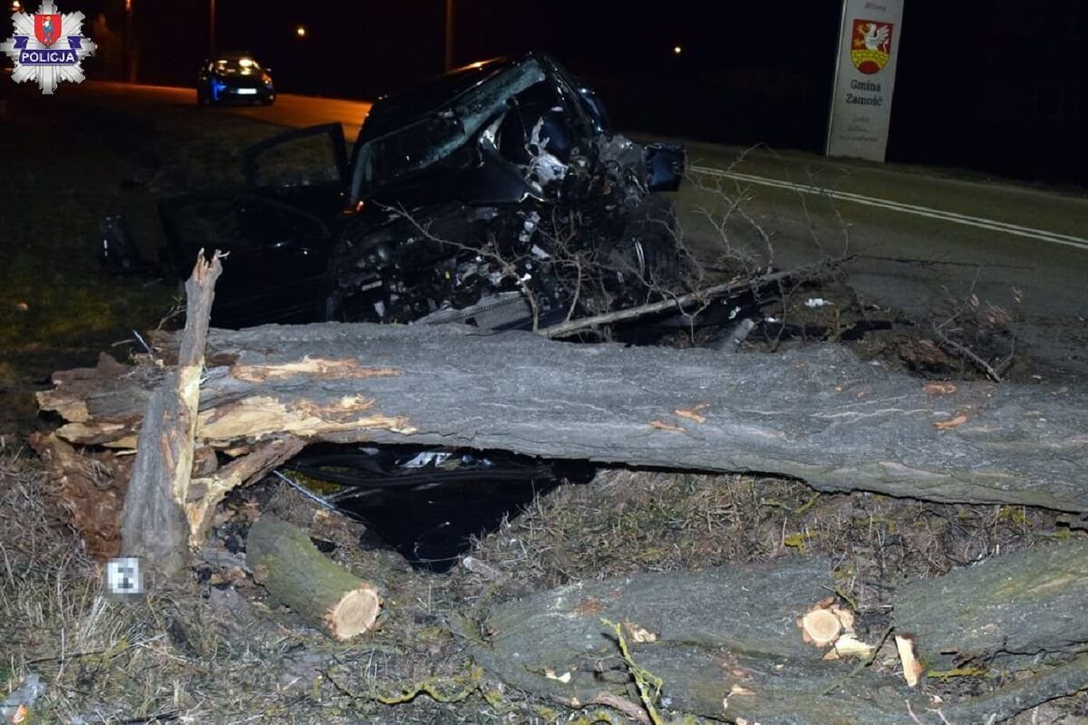 drzewo, wypadek samochodowy