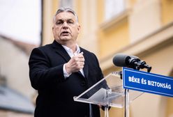 Wstrząsające wyniki sondażu na Węgrzech. "To dość porażające"