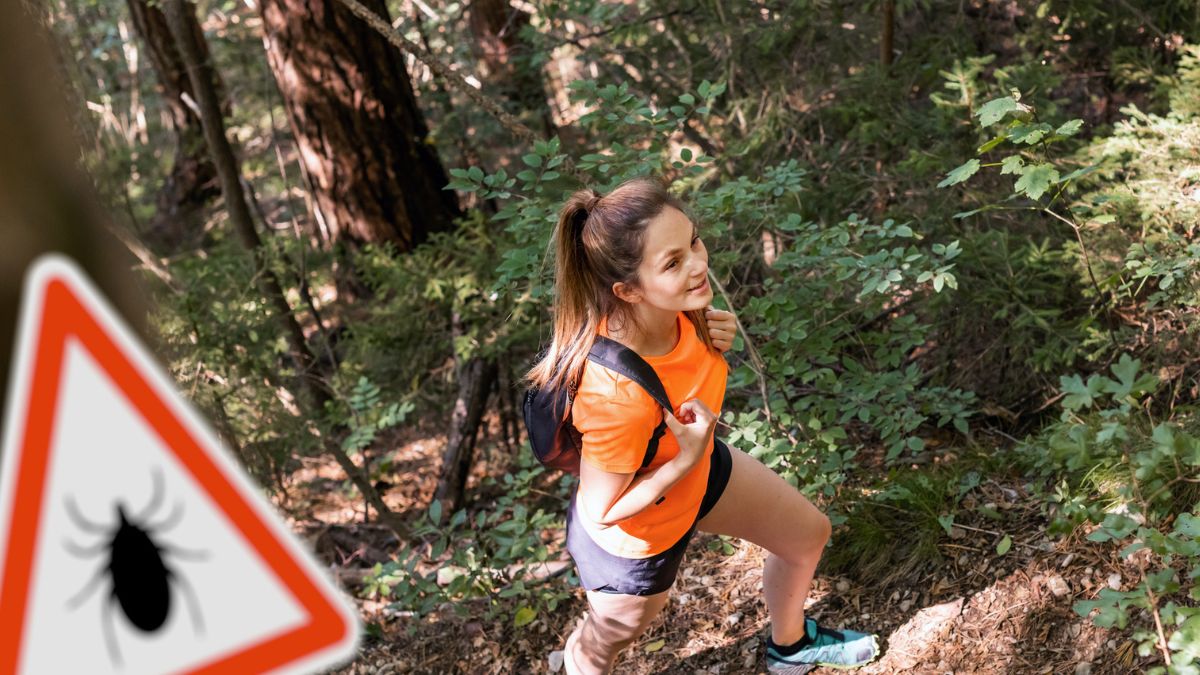 Kobieta spacerująca po lesie pełnym kleszczy.