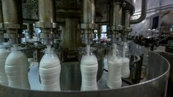 W Kanadzie zakazane. W Polsce takie mleko kupisz bez problemu