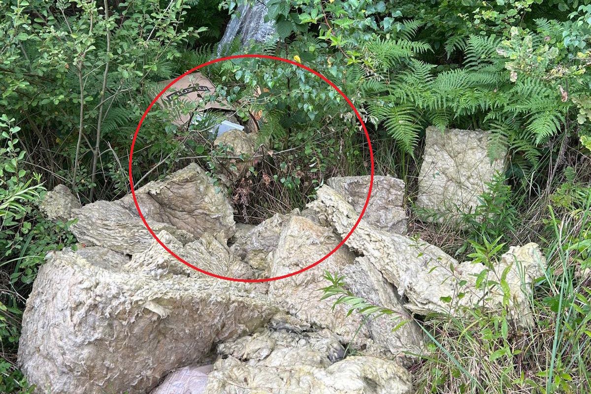 Leśnik chwycił za telefon. "To nie miejsce na takie odpady"