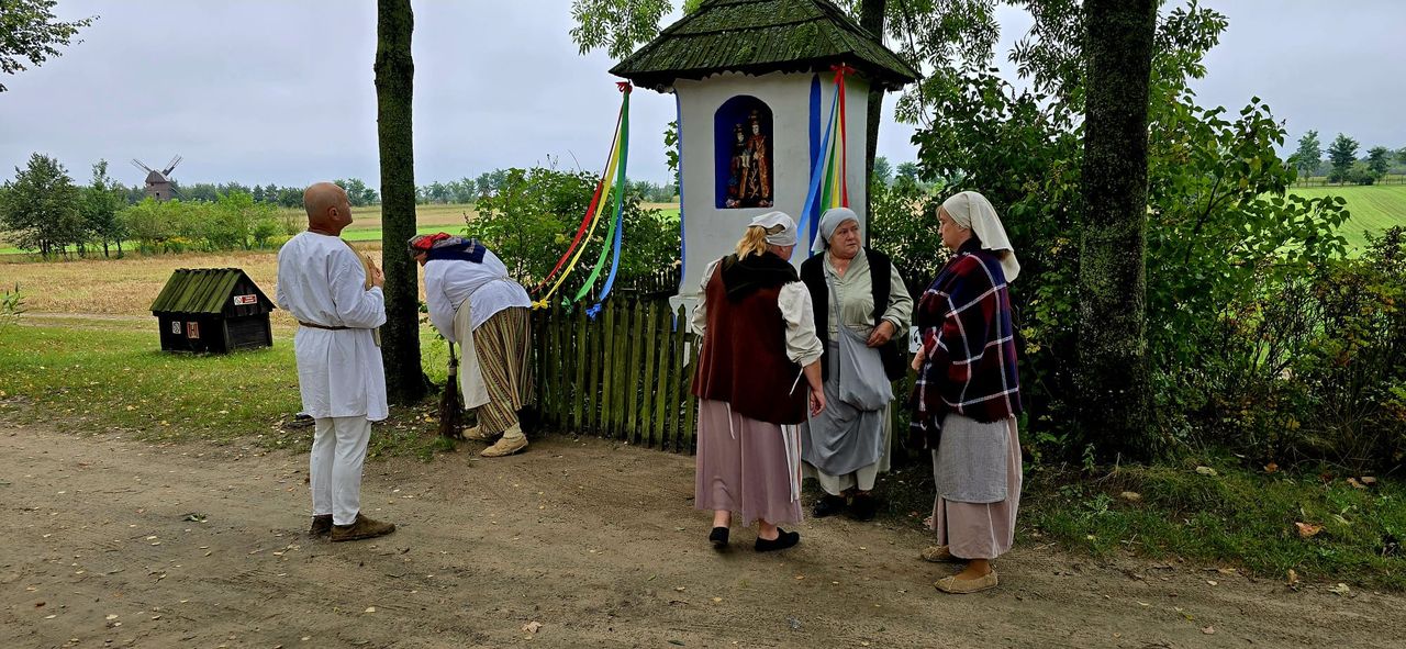 Wykopki 