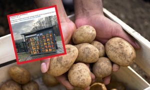 Kartofle prosto z... Ziemniakomatu. Niecodzienny pomysł na Śląsku