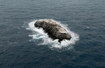 Niemieccy naukowcy odkryli nową wyspę na Morzu Weddella. Ma 130 metrów