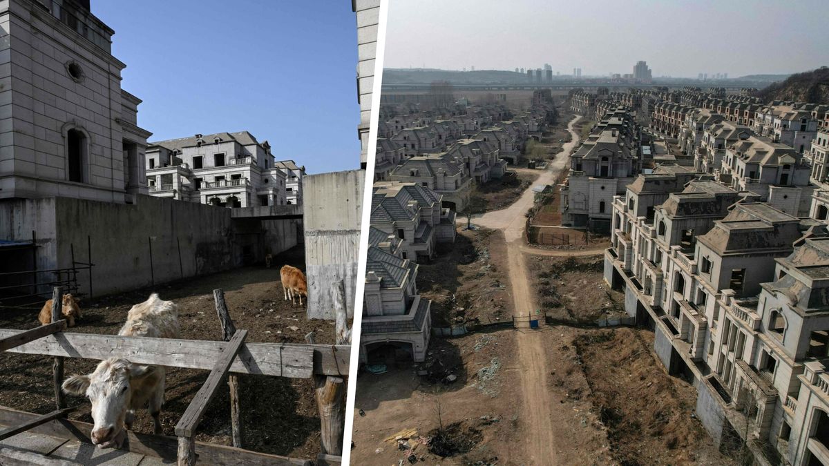 Wille w mieście duchów w Chinach zamieniły się w wybieg dla krów