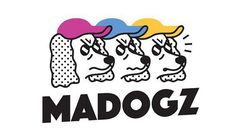 Tomasz Pastuszka prezesem agencji PR Madogz