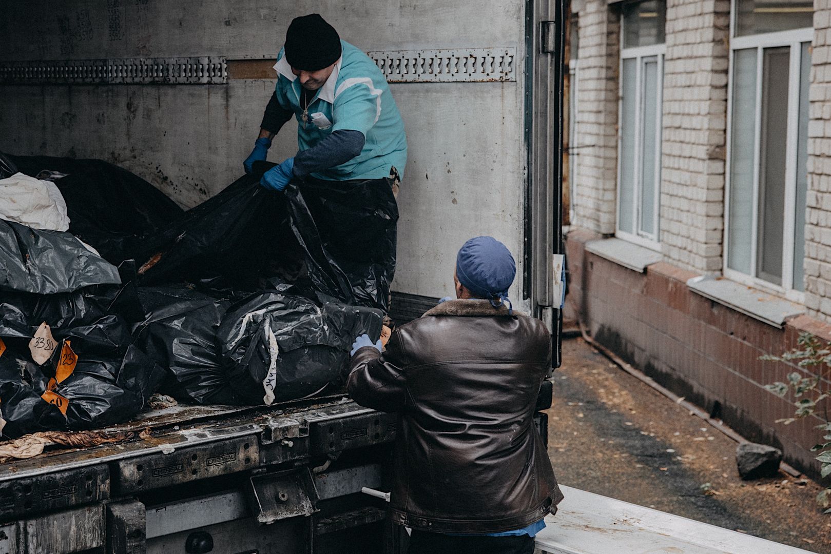 Ukraina, badanie DNA